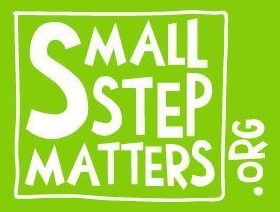 Small Step Matters